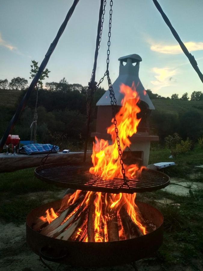 Domki W Bieszczadzkiej Dolinie Ustrzyki Dolne Kültér fotó