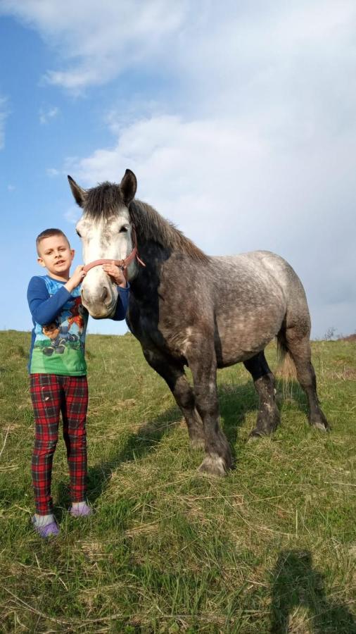 Domki W Bieszczadzkiej Dolinie Ustrzyki Dolne Kültér fotó