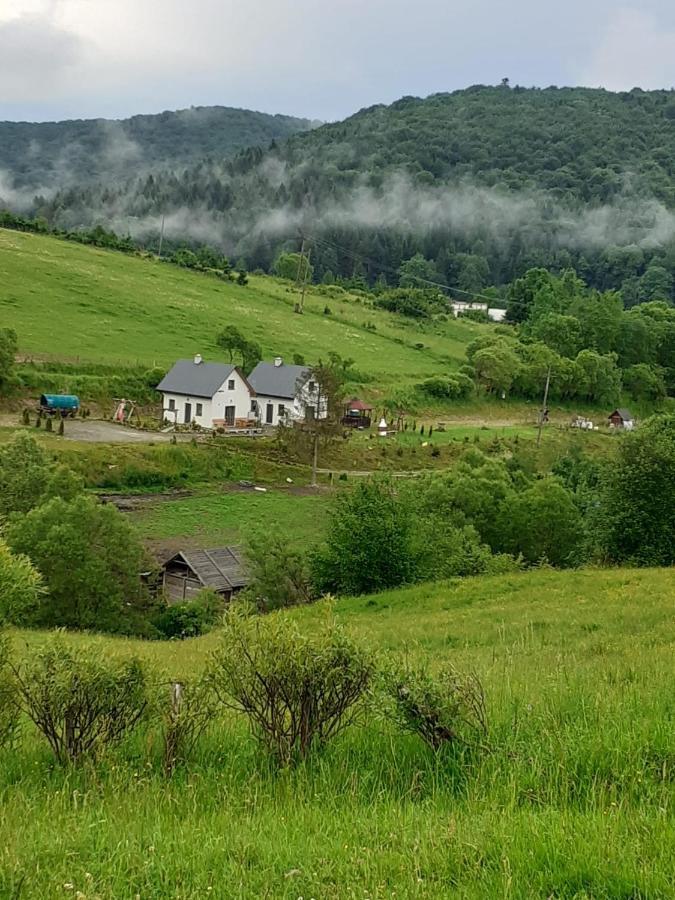 Domki W Bieszczadzkiej Dolinie Ustrzyki Dolne Kültér fotó